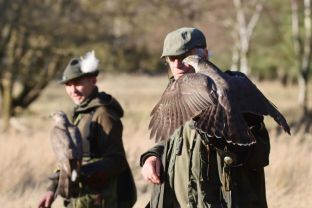 Adventsbeize (8).jpg