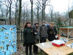 Falknersonntag 1.JPG