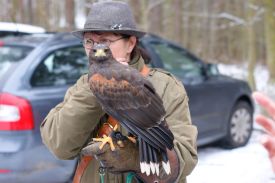 Falknersonntag 3.JPG