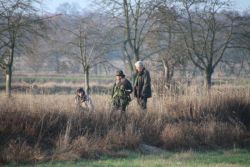 13 Gatowbeize 2014.jpg