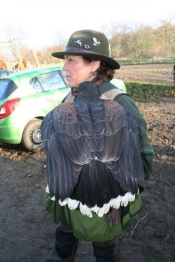 9 Rieselfeld 1 - Eine erfolgreiche Falknerin.jpg