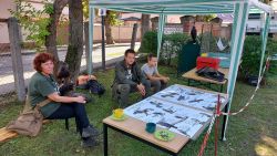 Stand Kallinchen.jpeg