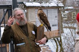 Falknersonntag 4.JPG