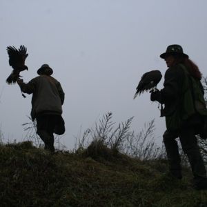 1 Aufwaerts gehen und nach vorn schauen.jpg