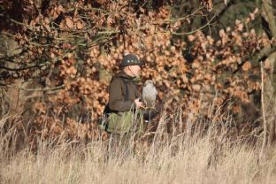 Adventsbeize (3).jpg