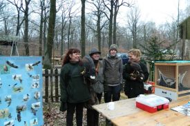 Falknersonntag 1.JPG