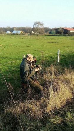 11 Gatowbeize 2014.jpg