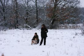 Falknersonntag 5.JPG