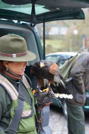 3 Grunewald 2014.jpg