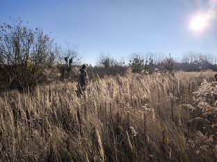 Adventsbeize (13).jpg