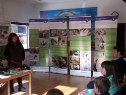 3 Waldschule Teufelssee.JPG