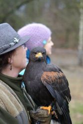 5 Grunewald 2014.jpg