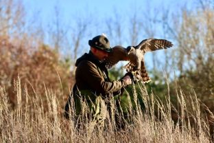 Adventsbeize (10).jpg