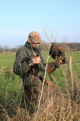 4 Ronny mit Harris und Frettchen.JPG