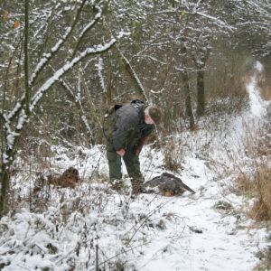 10 Weisse Winterpracht, A. Valentin mit Habicht und Hund.jpg