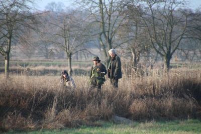 13 Gatowbeize 2014.jpg