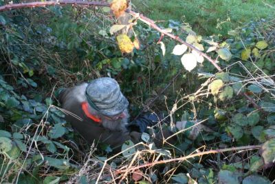 5 Frettiern mit vollem Einsatz.JPG