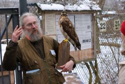 Falknersonntag 4.JPG